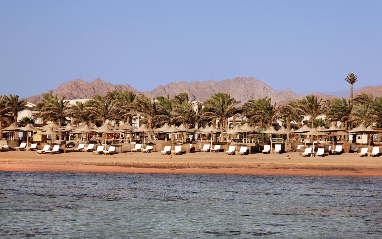 Лучший отдых в Египте в отеле Royal Albatros Moderna 5 - Avantage-travel